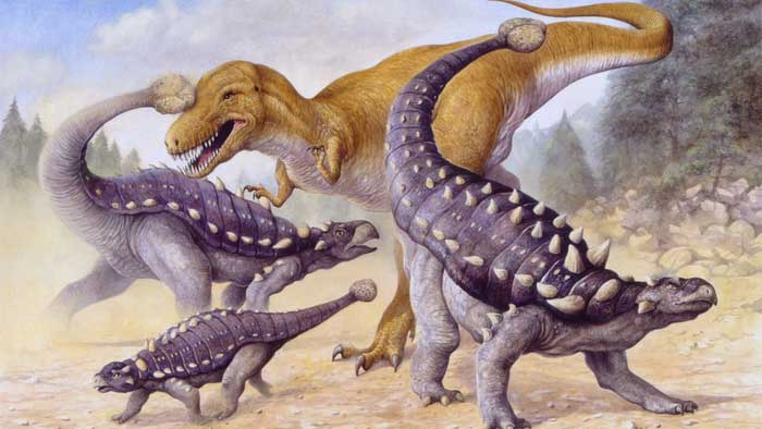 Анкилозавры и тираннозавр