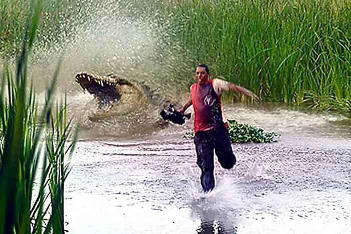 Крокодил преследует человека