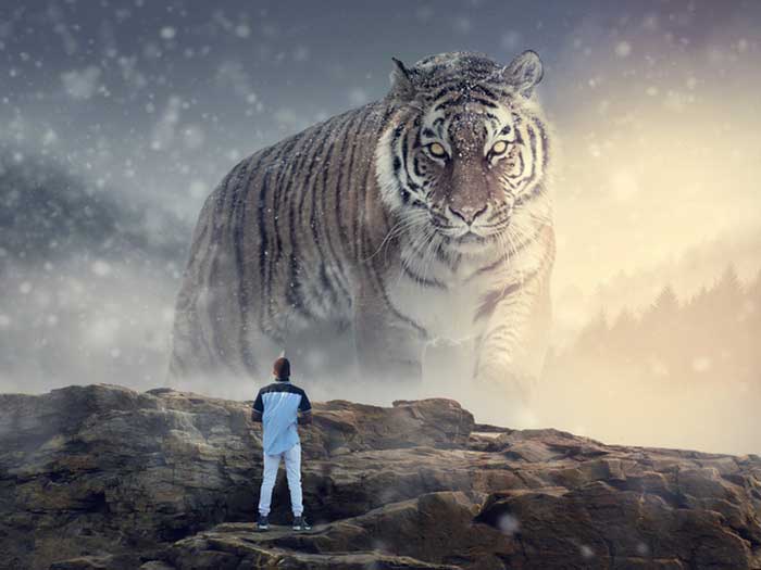 Огромный тигр и человек