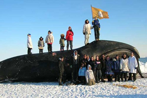 Люди возле трупа гренландского кита