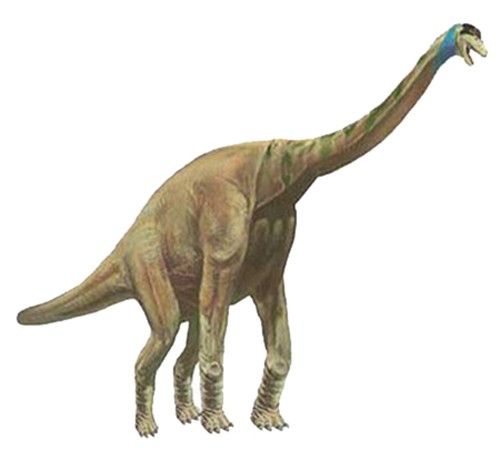 Изображение брахиозавра