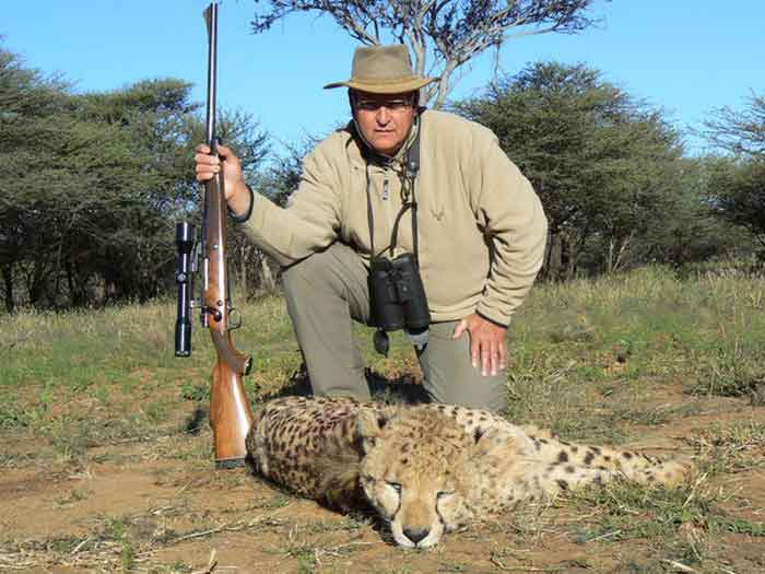 Охотник убил гепарда