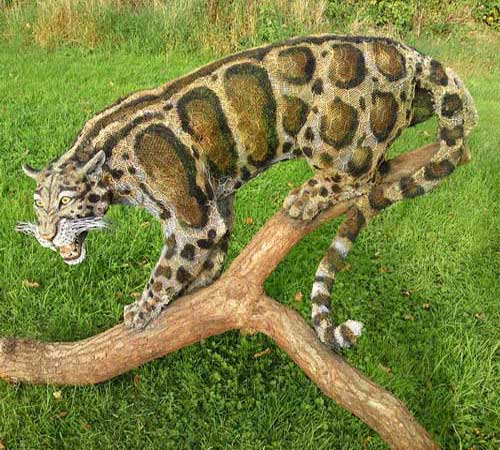 Внешний вид дымчатого леопарда