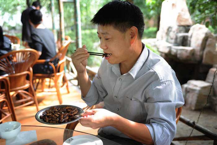 Китаец ест тараканов