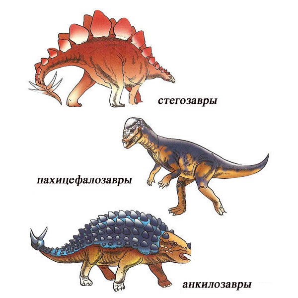 Изображения пахицефалозавров, стегозавров, анкилозавров