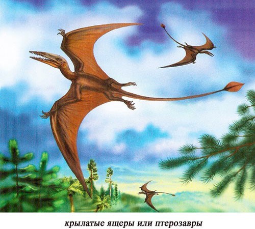 Изображение птерозавров