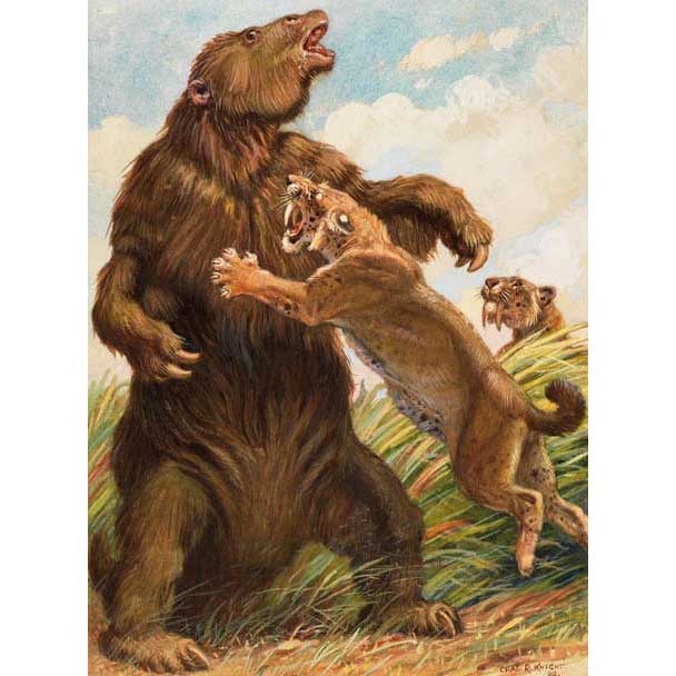 Нападение хищника на гигантского ленивца