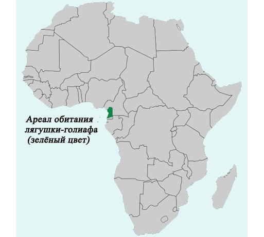Карта Африки с ареалом обитания лягушки-голиафа