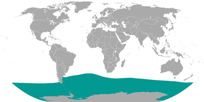 Места обитания южного морского слона на карте