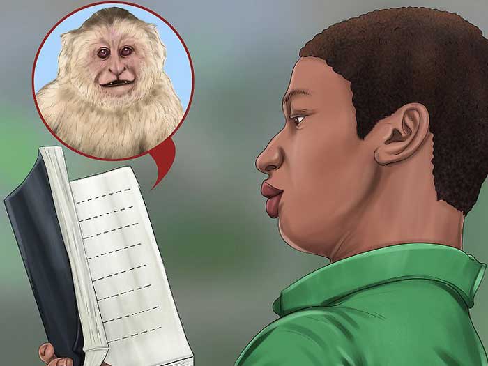 Информация об обезьянах