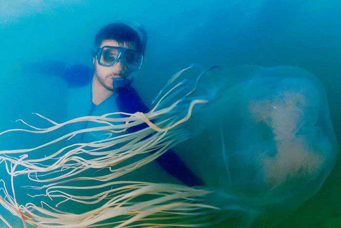 Человек встретил под водой медузу