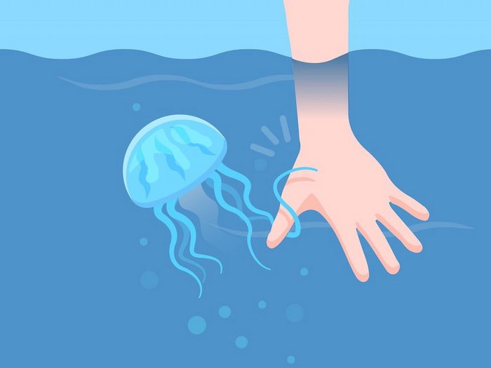 Защита от медуз