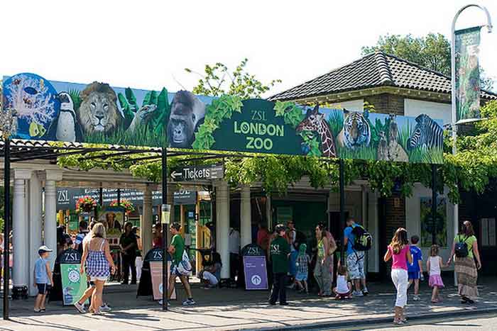 Вход в Лондонский зоопарк