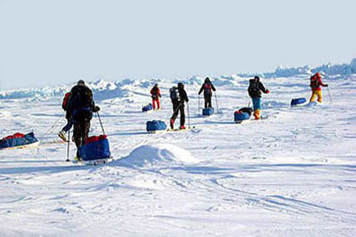 Группа людей среди льдов