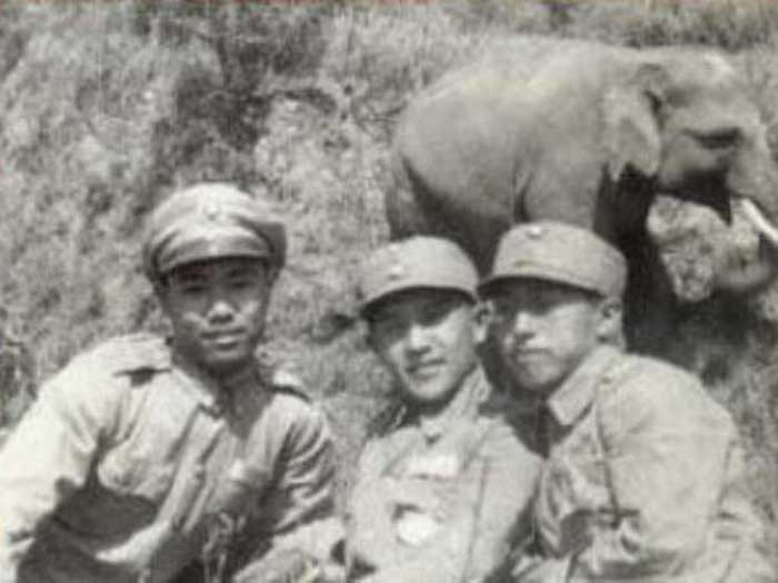 Слон Линь Ван и солдаты