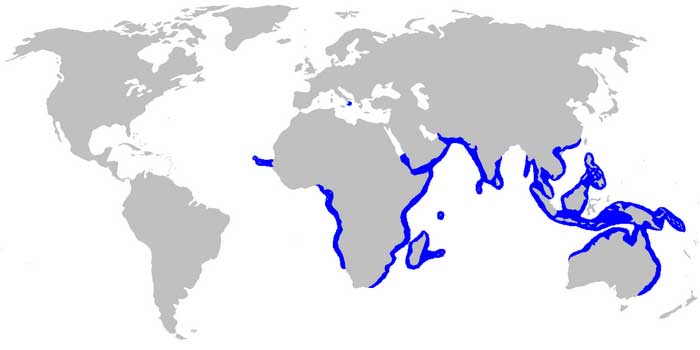 Ареал обитания на карте
