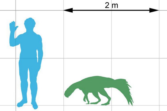 Пситтакозавр и человек