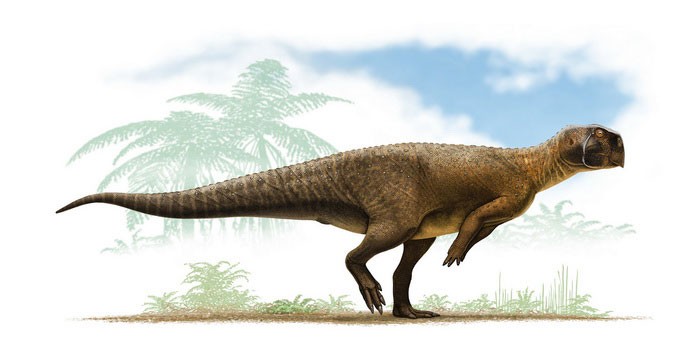Пситтакозавр стоит на задних ногах