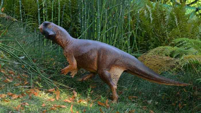 Среда обитания пситтакозавра