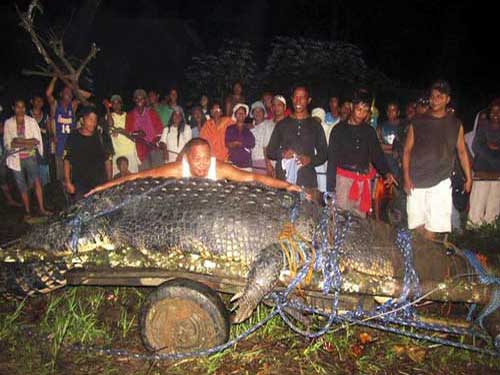 Убитый крокодил и люди