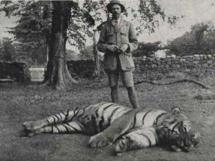 Охотник и убитый тигр-людоед