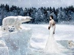 снежная королева и белые медведи