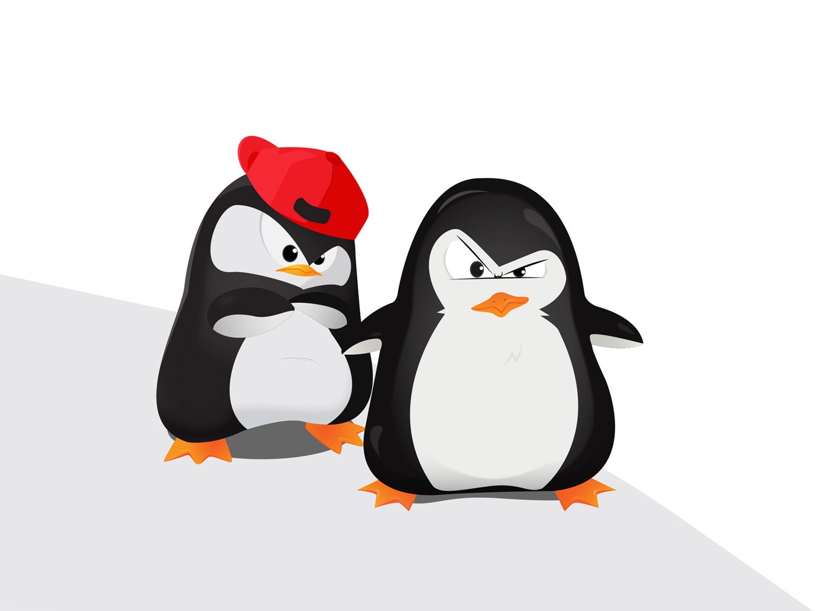 Два забавных пингвина, обои для рабочего стола