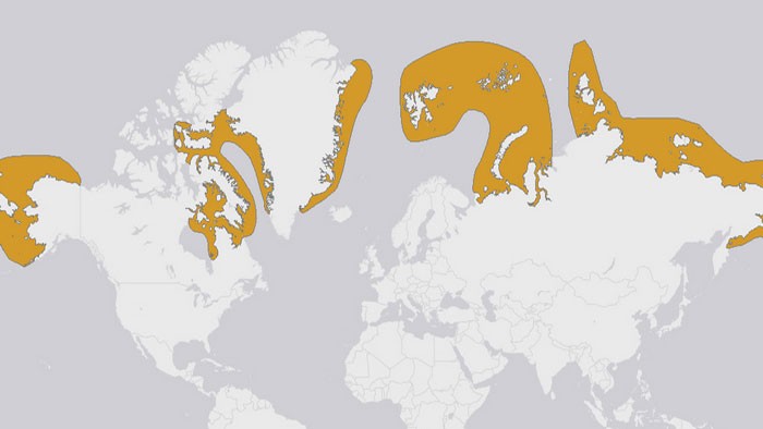 Ареал обитания моржей на карте