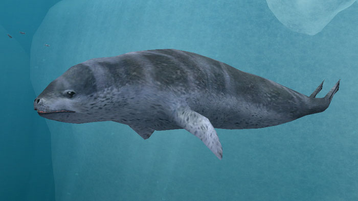 Тюлень Уэдделла ищет корм под водой