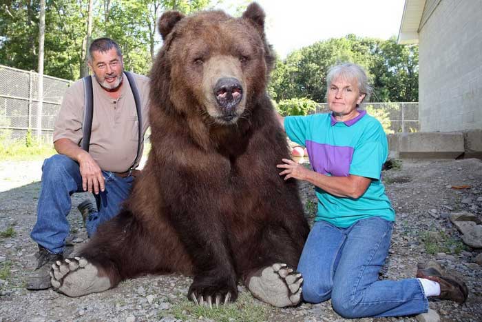 Муж с женой и медведь