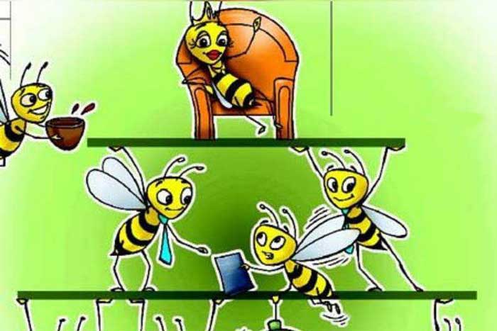 Показана иерархия в пчелиной семье